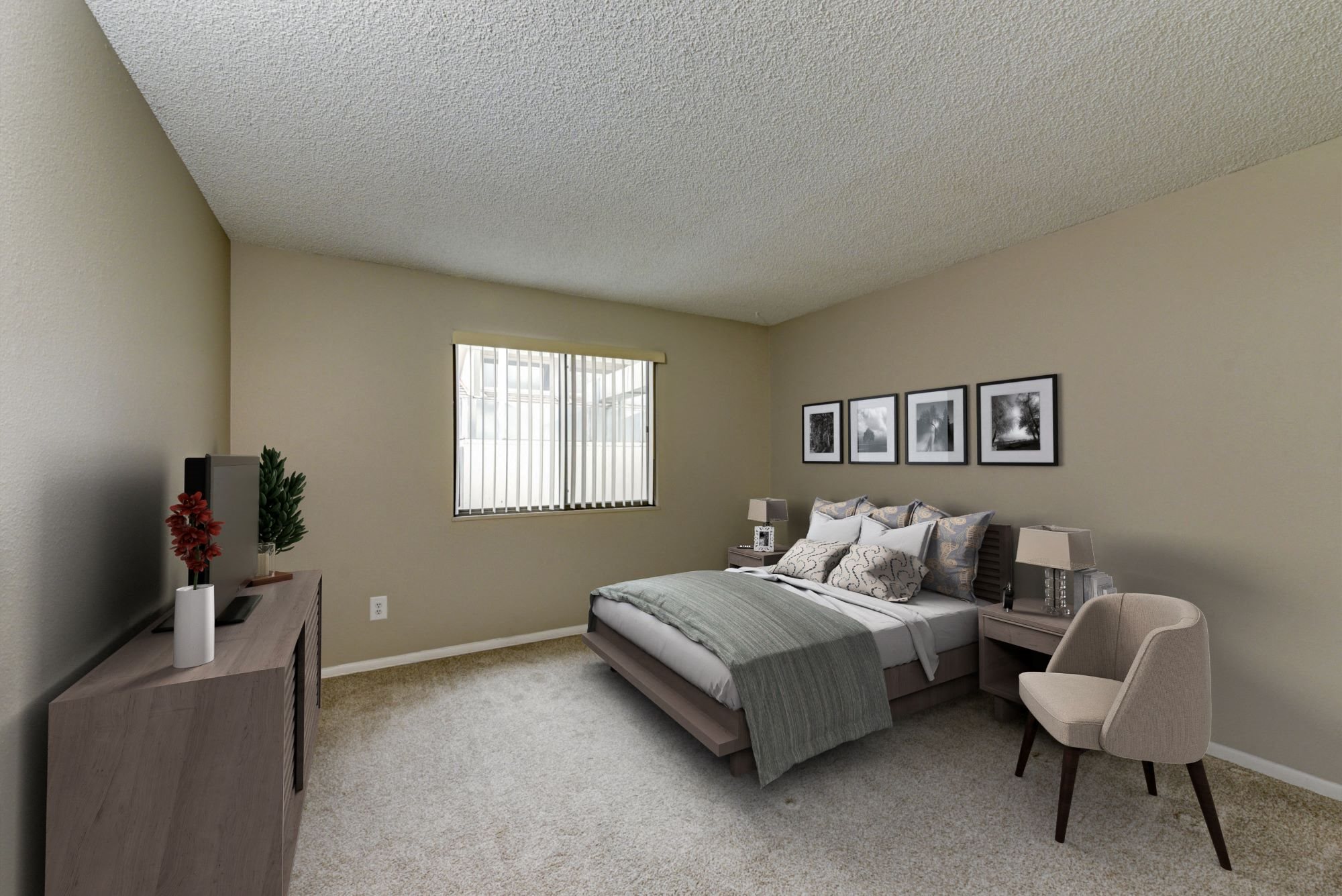 Gallery Photo 19
